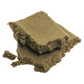 Sungrown Traditional Hash