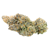 White Hot Guava