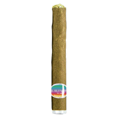 El Blunto Hash Infused Yacht Master Punch Pre-Roll