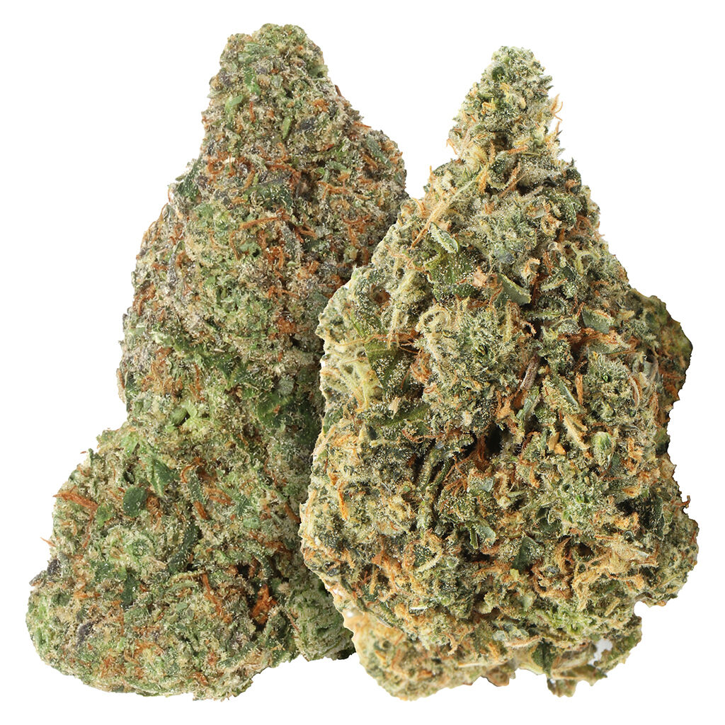 Two Pack: Bubblegum Marker & Red Bullz (Bubblegum Sherb x Perm Marker) + (Grape Gas x White Runtz)