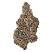 Banana Daddy (Granddaddy Purp x Banana Hammock R1)