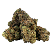 Firecracker Smalls (Tropicanna Cherry x Blue Tarts)