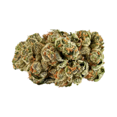 Kush Cookies (GMO Cookies x OZ Kush)