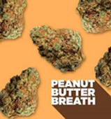 Spinach Peanut Butter Breath Hybrid Flower - 3.5g