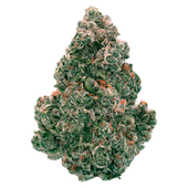 Liquid Imagination - 7g
