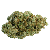 Pedro's Sweet Sativa