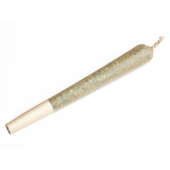 Chunk Dawg Pre-Roll