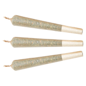 Watermelon G-Bear Distillate Infused Pre-Roll