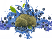 DAB BODS Blueberry MOONROCKS 2g
