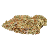Sativa
