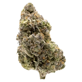 Midnight Sherb - Dried Flower