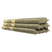 Big Apple Pre-Roll