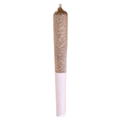 Beaver Tail (Pink Gelato x Kush Mints) | 1x0.5g