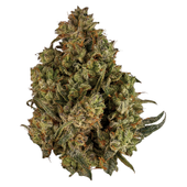 CBD Rntz Flower