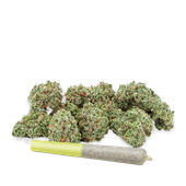 HIGHLY DUTCH - Amsterdam SATIVA (Cherry Mint) Rotating 28G