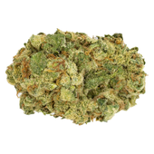 Zsweet (Durban Poison x Rainmaker x Original Glue)