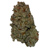 Wifi OG (Fire OG x The White) Wifi OG (Fire OG x The White)