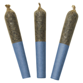 Blue Lobster 60's+ Dbl Infused Pre-roll