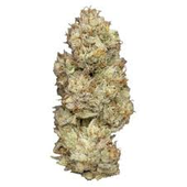 Nugz Wagyu Delight Dried Flower