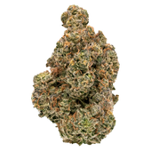 Golden Hour (GMO x Mint Chocolate Chip)