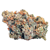 Yuck Mouth (GMO Cookies x Do-Si-Dos) Yuck Mouth (GMO Cookies x Do-Si-Dos)
