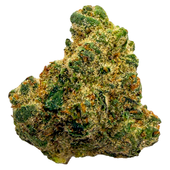 Northern Lights (Afghani x Thai)