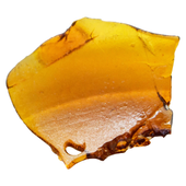 Early Lemon Berry Shatter