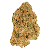 Neon Lotus (Thin Mint GSC x Snow Lotus)