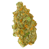 SOUR PATCH KISS (Kimbo Kush x Sour Kush)