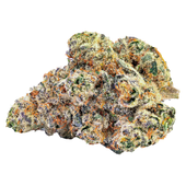 Blue Pave (Blue Azure x Pave) Blue Pave (Blue Azure x Pave)