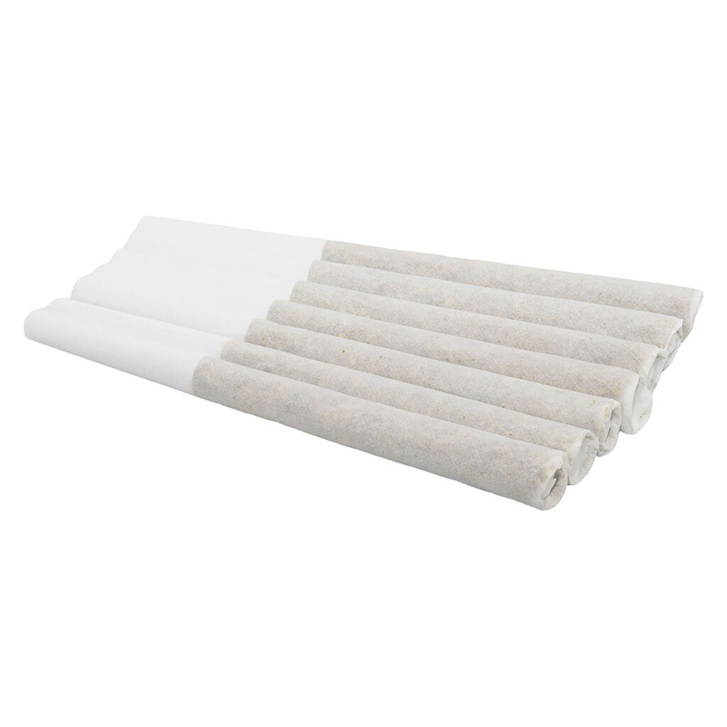 Winter Frost (Northern Berry x Powdered Donut) | 7x0.5g