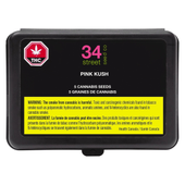 34 Street Seed Co. - Seed Starter Kit - OS