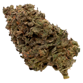 JUNGLE FUMES (Sour Diesel x Chemdawg x Lemon OG) JUNGLE FUMES (Sour Diesel x Chemdawg x Lemon OG)