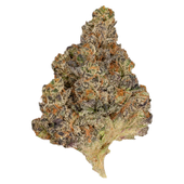 PART TIME (Lemon Diesel)