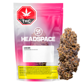 Lemon Whips Dried Flower