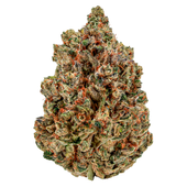 Sugar Daddy (Animal Face x Kush Mints 11) Sugar Daddy (Animal Face x Kush Mints 11)