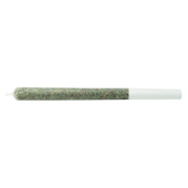 The Jeffrey Pre-Roll