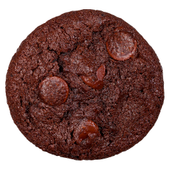 Double Chocolate Cookie Double Chocolate Cookie