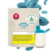 BACK FORTY BOOSTED Kush Mint Distillate AIO Disposable Vape 1.2g