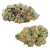 CombOz: Pink Kush Mints + Purple Cherry Punch