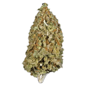 Candy Cane Kush Candy Cane Kush