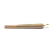 Indica Pre-Roll