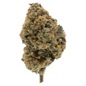 Kandy Cake - Dried Flower