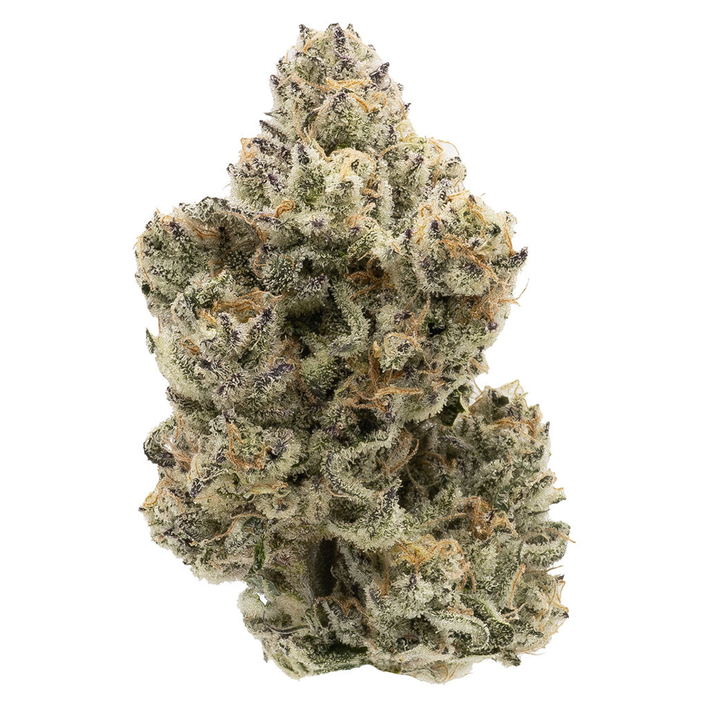 The Collective Half Q: Toad Poison (Animal Face x Kush Mints x Sherb Cookies)