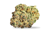 Black Cherry Pie - 14g
