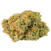 Blueberry Kush